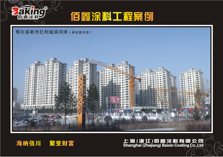 �����Ǳ�����(������ʯ��20��ƽ����  )